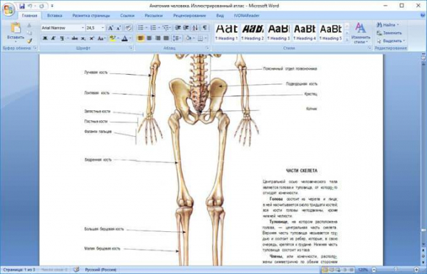 Конвертируем PDF в Word — 5 программ