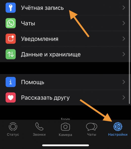 Как работать с группами в WhatsApp